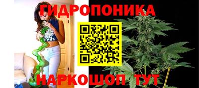 дурь Будённовск