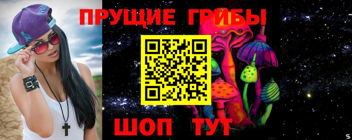 Буйнакск  Галлюциногенные грибы Cubensis  Вход с VPN 